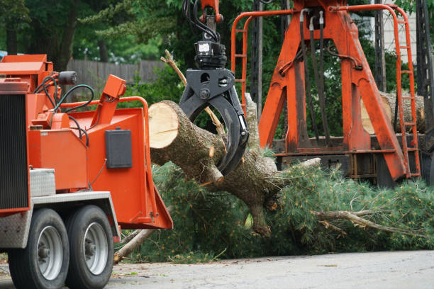 Best Utility Line Clearance  in Howards Grove, WI